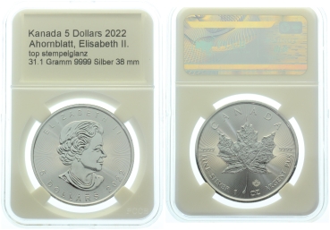 Kanada 5 Dollars 2022 Maple Leaf - 1 Unze Feinsilber